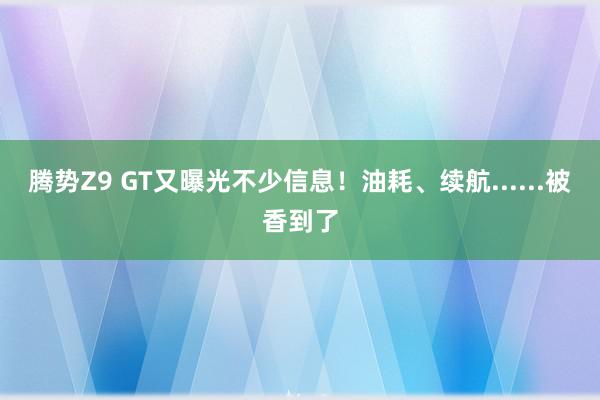 腾势Z9 GT又曝光不少信息！油耗、续航......被香到了