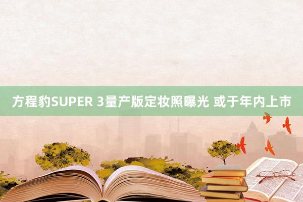 方程豹SUPER 3量产版定妆照曝光 或于年内上市