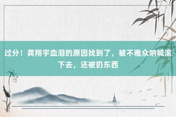 过分！龚翔宇血泪的原因找到了，被不雅众呐喊滚下去，还被扔东西