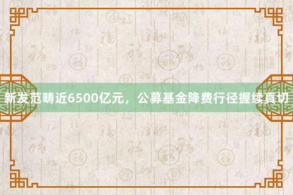 新发范畴近6500亿元，公募基金降费行径握续真切