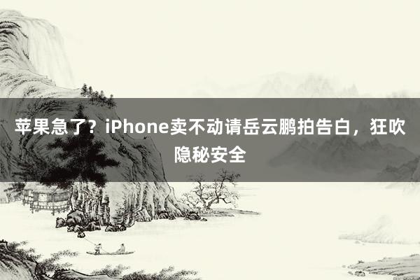 苹果急了？iPhone卖不动请岳云鹏拍告白，狂吹隐秘安全