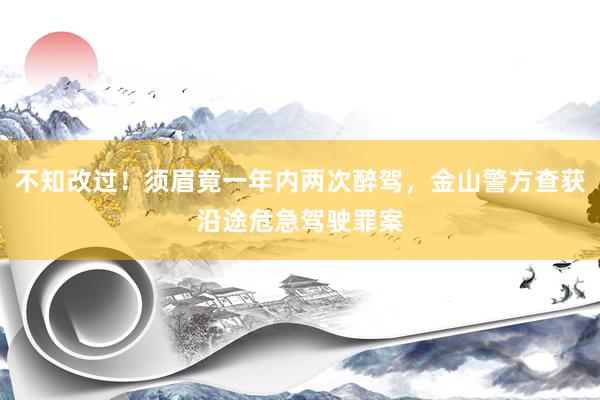 不知改过！须眉竟一年内两次醉驾，金山警方查获沿途危急驾驶罪案