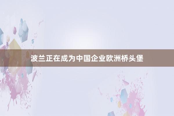 波兰正在成为中国企业欧洲桥头堡