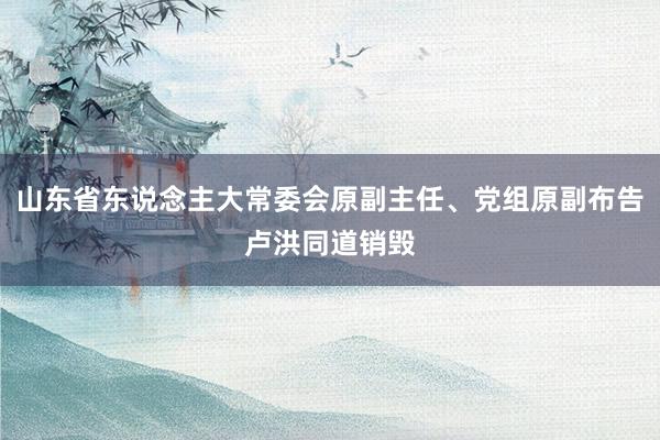 山东省东说念主大常委会原副主任、党组原副布告卢洪同道销毁