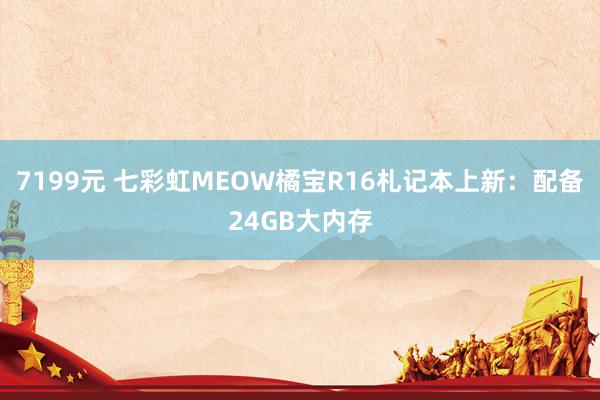 7199元 七彩虹MEOW橘宝R16札记本上新：配备24GB大内存