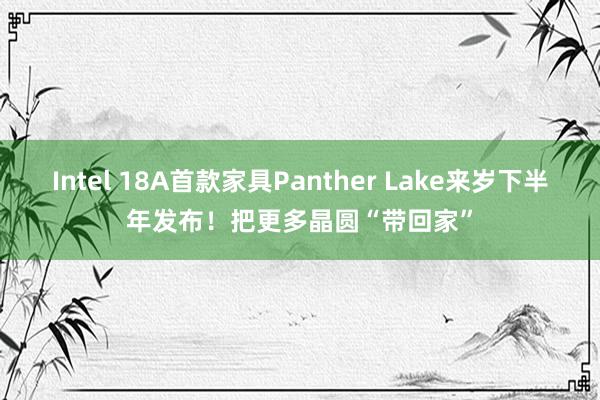 Intel 18A首款家具Panther Lake来岁下半年发布！把更多晶圆“带回家”