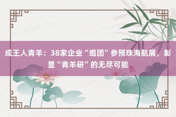 成王人青羊：38家企业“组团”参预珠海航展，彰显“青羊研”的无尽可能